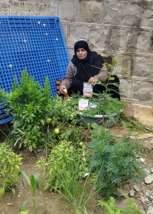 Samia — Baladi La Baladi